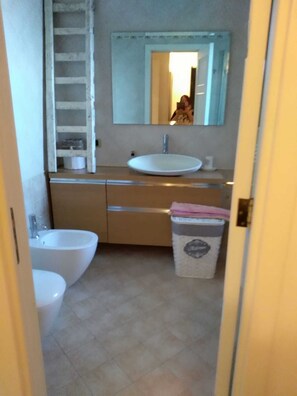 Combined shower/tub, bidet, toilet paper