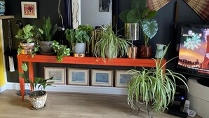A room with a wooden floor, a red bench, and various potted plants.