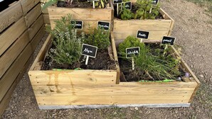 A garden with raised wooden beds containing various herbs and plants, each labeled with their names. - Gîte Mobil-home in Drôme Provençale (Saint-Pantaléon-les-Vignes)