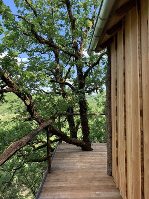 Terrain de l’hébergement 