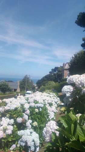 TRESTRAOU, COTE DE GRANITE ROSE, VUE MER GRAND STUDIO  AVEC TERRASSE