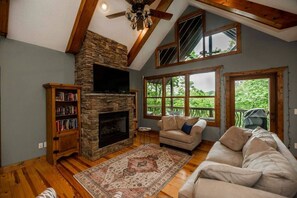 Smart TV, fireplace, books