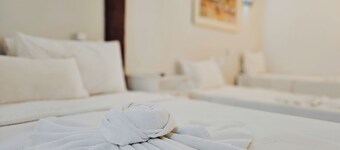 Pousada Ilha Branca Centro