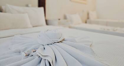 Pousada Ilha Branca Centro