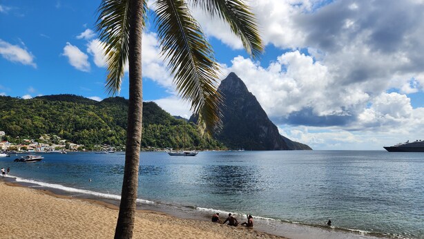 A beach with a palm tree, calm sea, and a mountain in the background. - Maison 79 – Your Private Soufrière Escape w/ 2BR, 2BA, AC & WiFi (Soufrière)