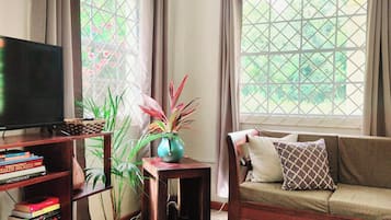 Älytelevisio, kirjoja, stereot