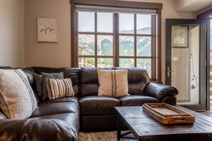 Televisión y chimenea 