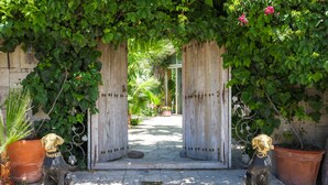 Una entrada de jardín con una verja de madera, dos estatuas de perros y plantas en macetas.