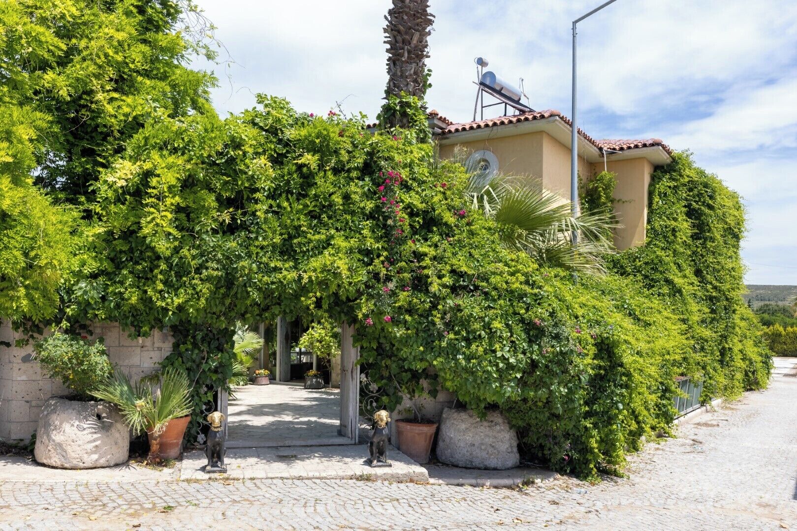 A house with a garden, a satellite dish, and a paved entrance.
