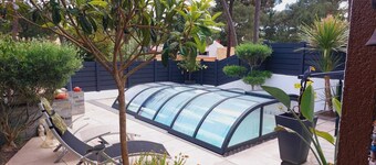 In the heart of the pine forest