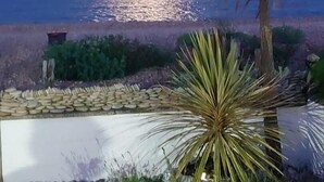 Kustlandschap met een palmboom en een yucca in de voorgrond, een stenen muur en uitzicht op de zee onder een heldere lucht.