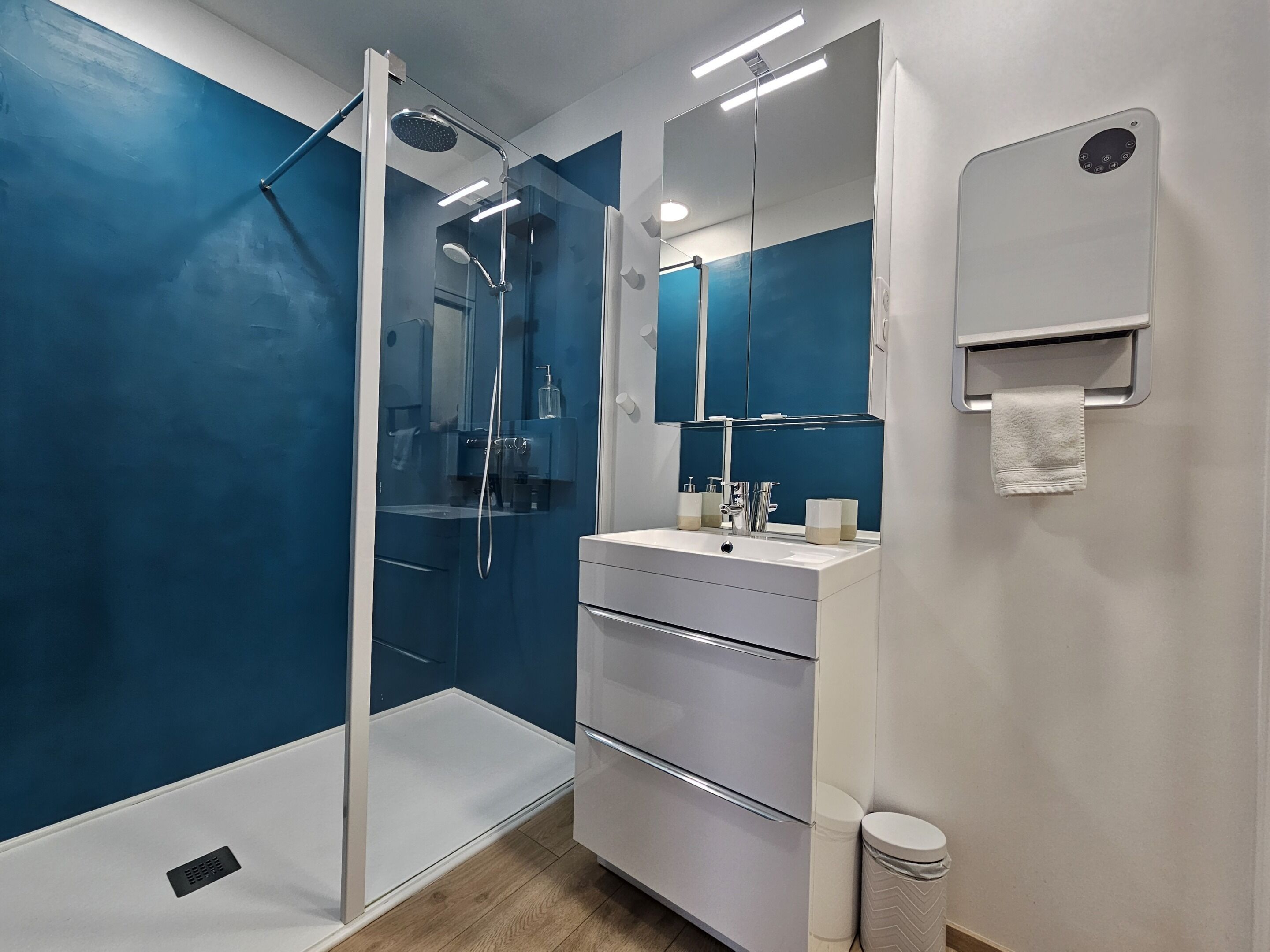 Shower, hair dryer, towels