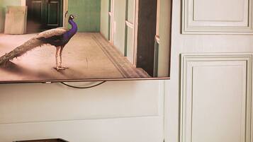 1 slaapkamer, een strijkplank/strijkijzer, reisbedje, gratis wifi