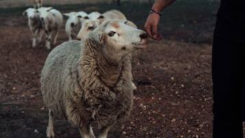 Douche, sĂšche-cheveux, serviettes fournies