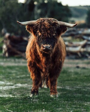 المنطقة المحيطة بالمنشأة