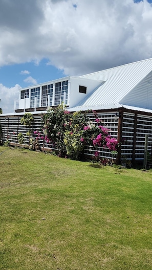 Exterior - The BNB on Triggerfish Close to the airport (Ladyville)