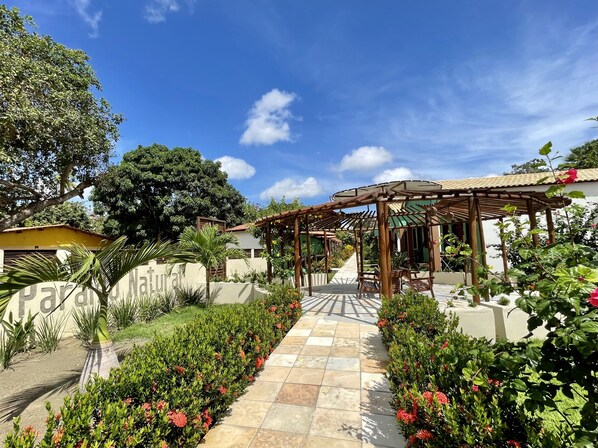 A garden pathway leading to a wooden pergola with seating, surrounded by lush greenery and flowering plants.