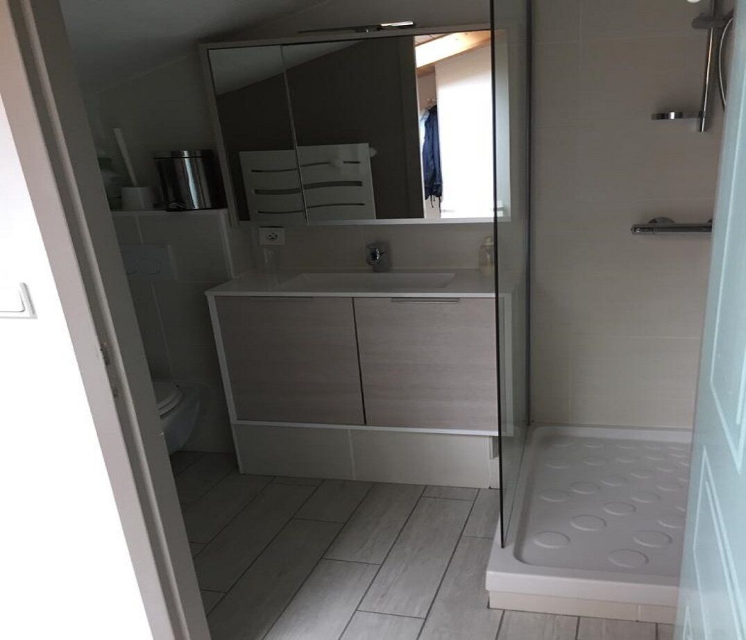 A bathroom with a modern sink, mirror, and shower.