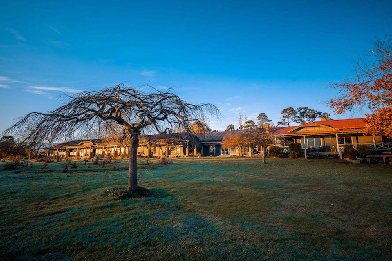 A rural property with a large open field, a prominent tree, and a series of buildings with a red roof.