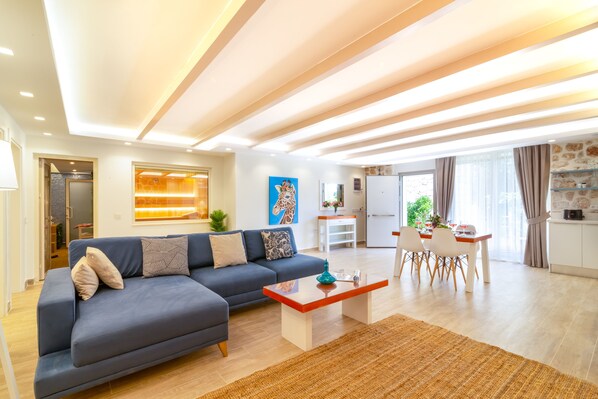 Smart TV, fireplace, DVD player