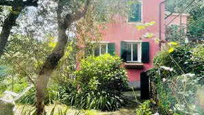 Una casa rosa con contraventanas verdes, rodeada de abundante vegetación y árboles.