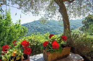 A stone planter with red flowers and a tree trunk, overlooking a lush green landscape. - Charm in the Portofino park (San Rocco)