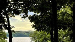 A lakeside property with a house, a dock, and a grassy area. - Dreamy Cottage Getaway w/ Sunset Lakeview (Cadiz)