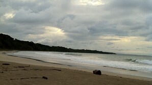 Uma praia com areal arenoso e pedaços de madeira à beira-mar.