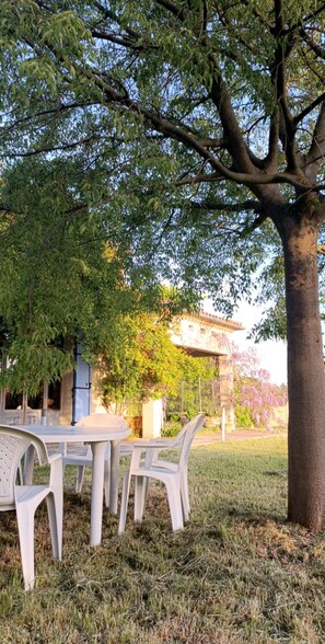 A table and chairs under a tree in a grassy area with a building in the background. - Villa “Des Oliviers” – perfect for a visit to Provence (Caumont-sur-Durance)