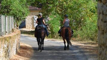 Två personer rider på hästar på en smal väg som omges av grönska.