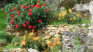 A garden with red and orange flowers, a stone wall, and a rocky cliff.