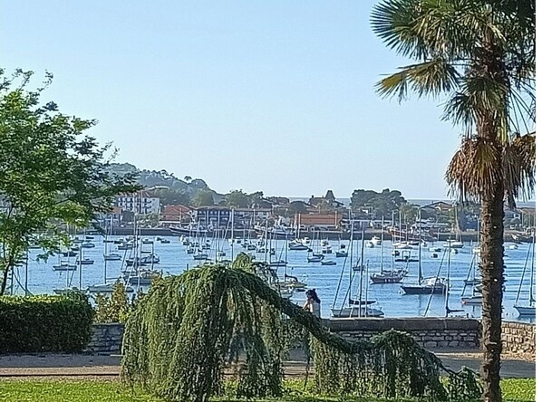 Puerto deportivo