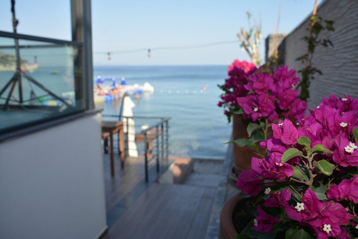 Terrasse/gårdhave