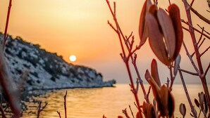 Ein Küsten-Sonnenuntergang mit kahlen Ästen im Vordergrund.