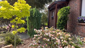 A garden with various plants and a brick building with a window. - Exclusive vacation home in the Dichterviertel (Brück)
