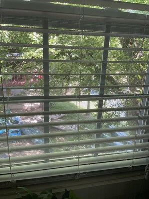 A window with horizontal blinds, a view of greenery outside, and a glimpse of a building structure.