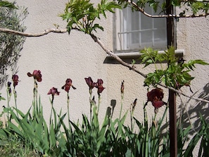 Exterior detail - OUSTAOU DU GAYET, charming gîte with private pool (Lourmarin)