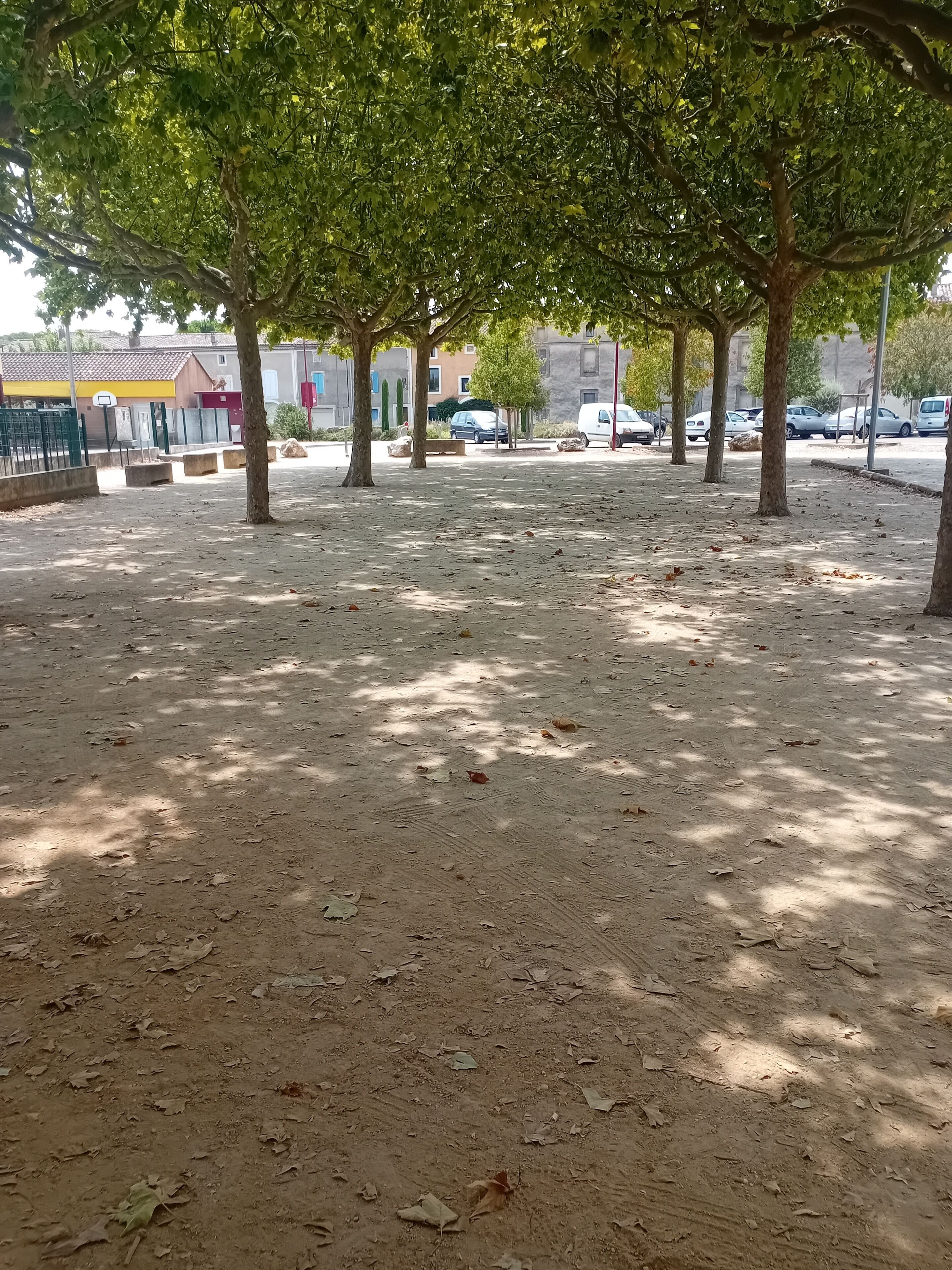 Un espace extérieur avec des arbres, un terrain de basketball et des voitures garées.