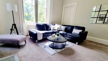 Smart TV, fireplace, books