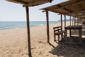 بالقرب من الشاطئ، كراسي للتشمس، مناشف للشاطئ