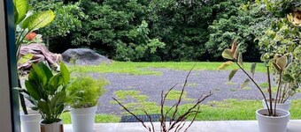 Tranquil Rainforest Studio