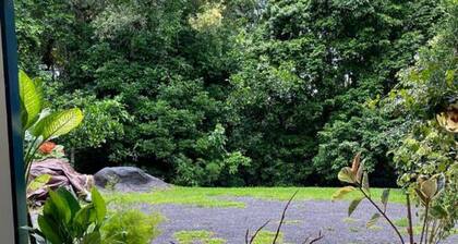 Tranquil Rainforest Studio