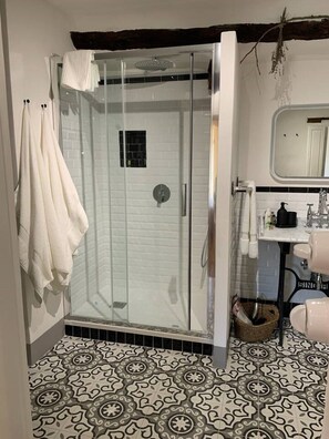 Shower, hair dryer, bidet, towels