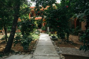 A pathway leading to a building with a garden area. - La Casona Hostel (Puerto Escondido)