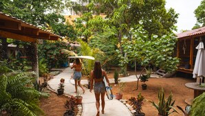 Un chemin de jardin bordé de plantes en pot et agrémenté d’une structure en bois.