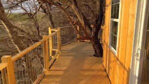 A wooden deck with a metal railing leading to a building. - Sunset Reset TreeHouse (Darlington)