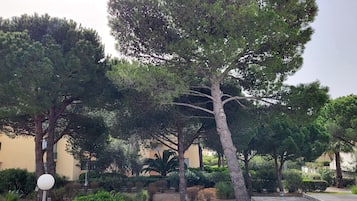 Enceinte de lâhĂ©bergement