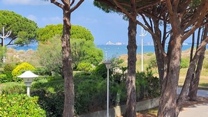 Un parque costero con árboles, farolas y vistas al mar y un puente.