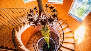 Un escalier en colimaçon avec une rampe en fer forgé et une plante suspendue.