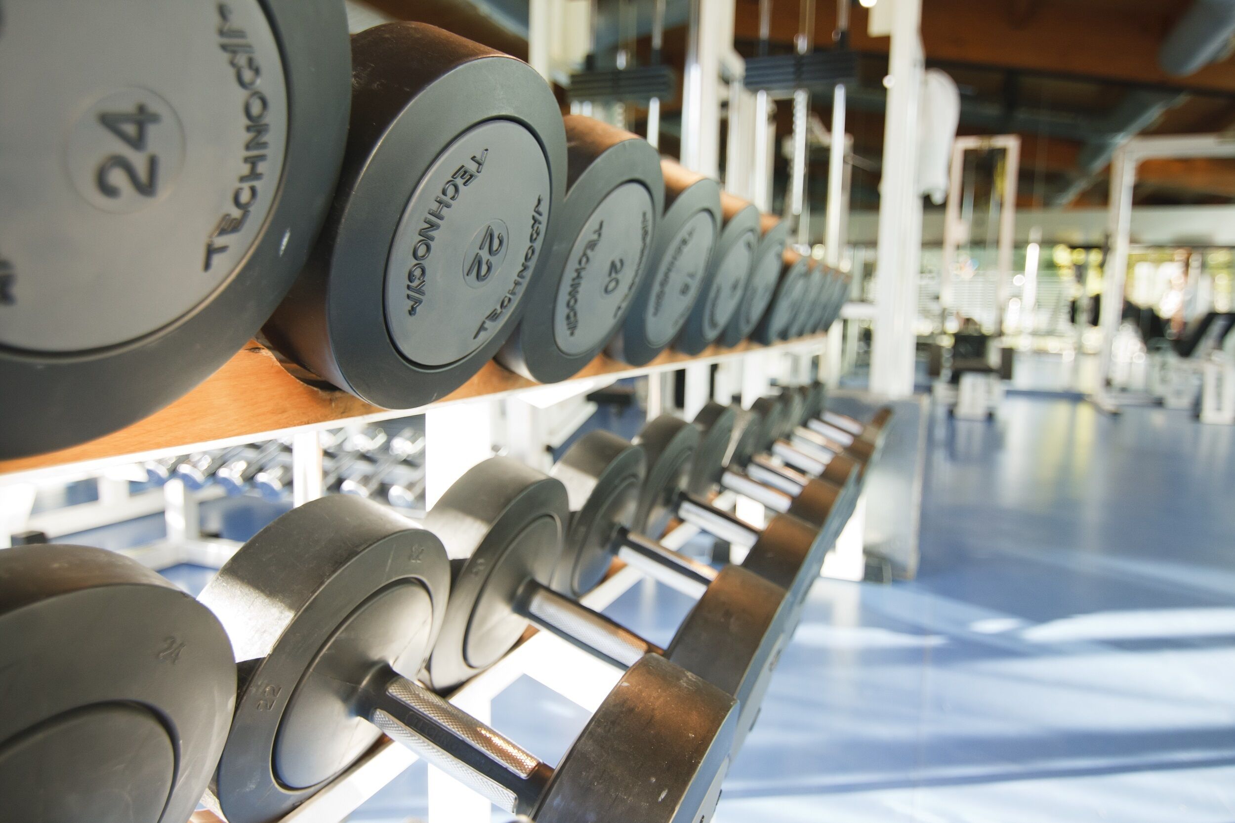 Gimnasio